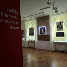 „Emilija sugrįžo namo: išskirtinis meno kūrinys iš privačios kolekcijos eksponuojamas Antazavės dvare“, 2025 m. gruodžio mėn.